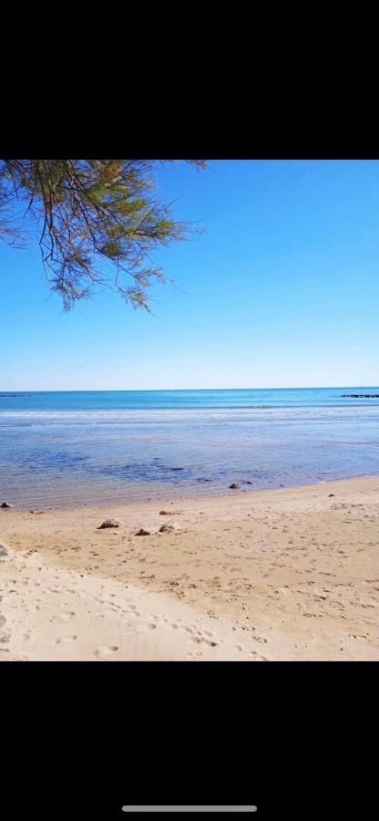 Le Coeur Des Sables Apartment Le Grau-d'Agde ภายนอก รูปภาพ